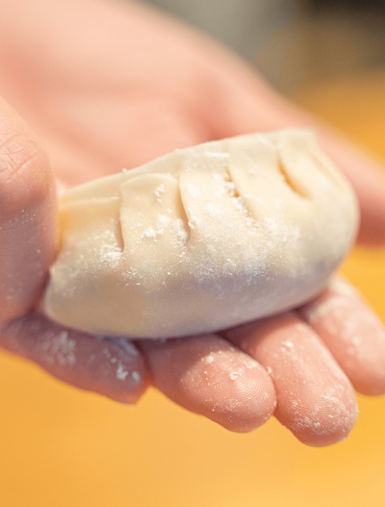 餃子に365日ずっと触れる